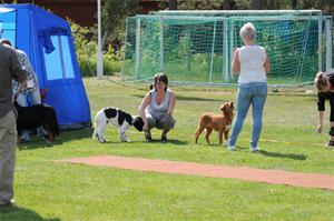 2011-05-21 (471)