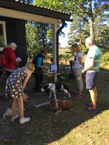 thumbnail_IMG_1233