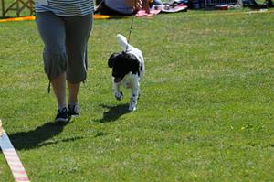 2011-05-21 (210)