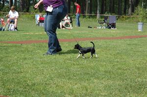2011-05-21 (844)