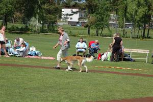 2011-05-21 (893)