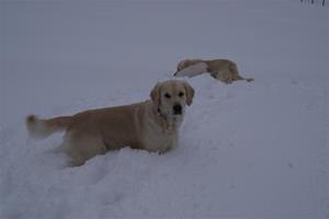 Kalle2007