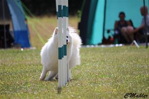 pix slalom