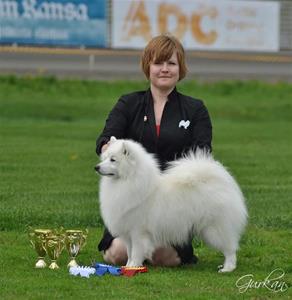 Edelbi'z peek a boo  Pix Rovaniemi 9 juni 2019