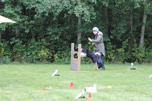 IMG_0364