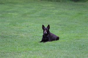 IMG_2504