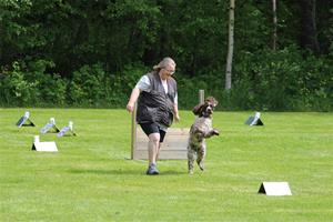 IMG_2098