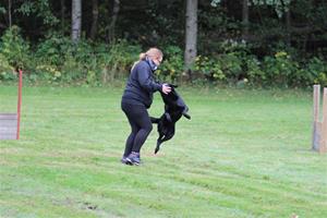 IMG_0456
