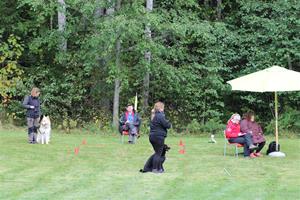 IMG_0452