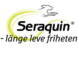 Seraquin-visual-dog