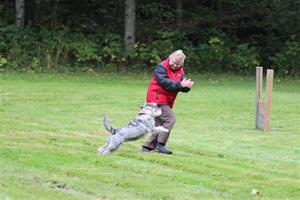 IMG_0434