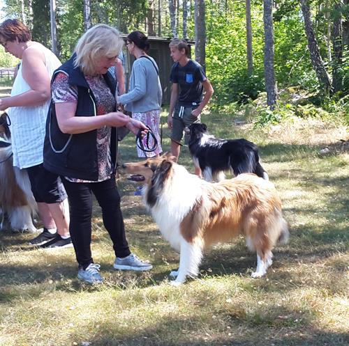 aslan 20180708_135845 aslan 20180708_135845