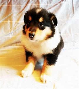 Kull_Ö_nr4_5v_IMG_20200908_114049_1 Kull_Ö_nr4_5v_IMG_20200908_114049_1