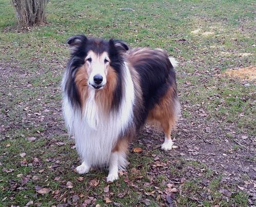 griffin_20151110_131909 griffin_20151110_131909