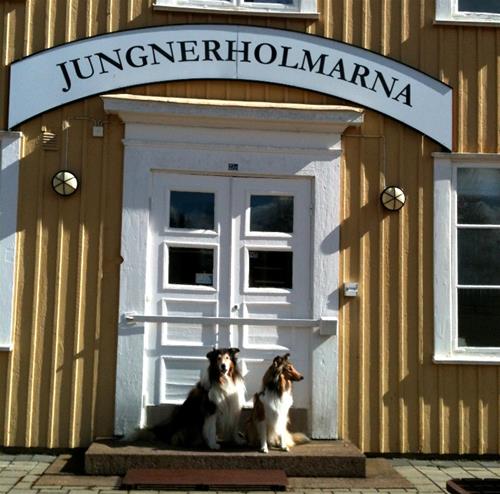 Jungenr_3.4.15_IMG_0427 Jungenr_3.4.15_IMG_0427