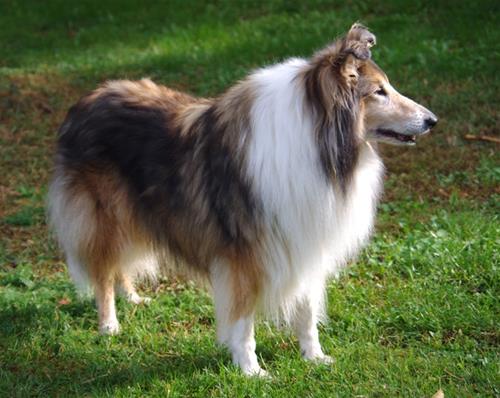 Molly_9,5_ar_IMGP4559 Molly_9,5_ar_IMGP4559