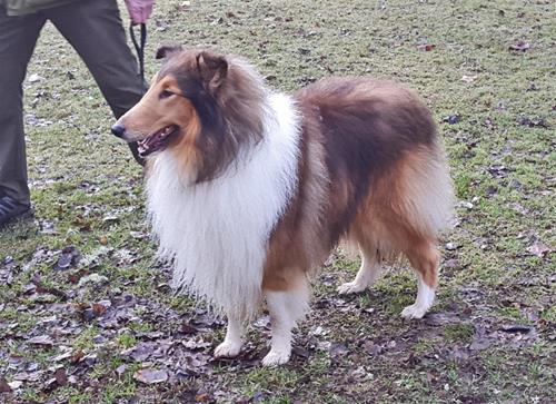 athos 20170401_080910 athos 20170401_080910