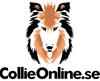 collionline logga ram collionline logga ram