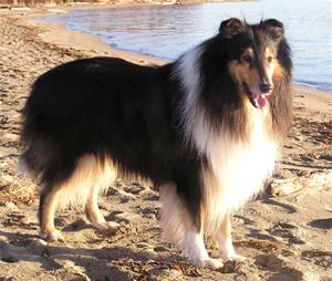 Jack02004 Jack02004