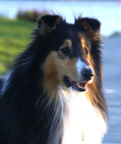 Wille_DSC08981 Wille_DSC08981