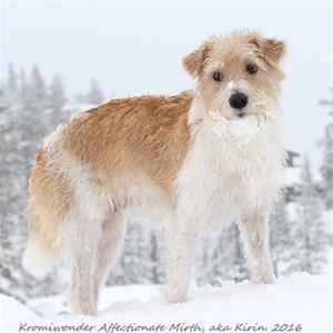 Kirin (Kromiwonder Affection Mirth) och Ann Riise_ROOKIE