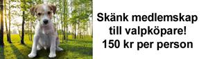 valpgåva valpgåva