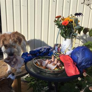 Rackham firar sin 5-årsdag! 