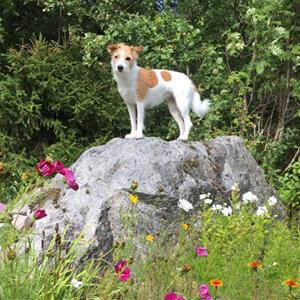 Bella (Xamirabilis Alma Annabell) och Marie Malm_HÖJDARE