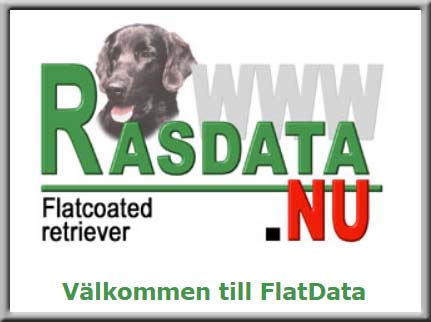 flatdata flatdata