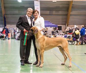 Bentley Svensk och Norsk Champion 27.1-18