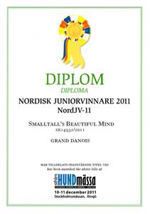 Nordisk Juniorvinnare-11