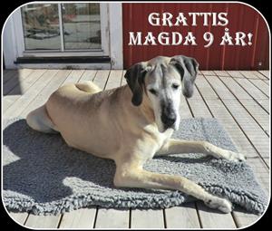 magda 9 år