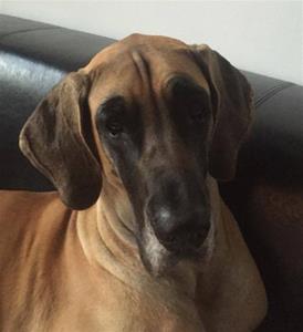Athena 2 år