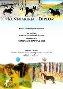 Finsk Uställningschampion