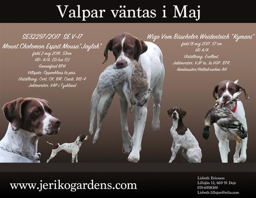 valkullweb valkullweb