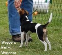 Woppers Extra Waganza, Ganza.
