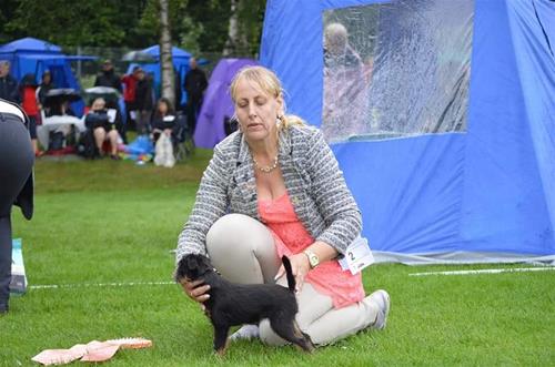 13659169_885199664958112_5215796782610352627_n 13659169_885199664958112_5215796782610352627_n