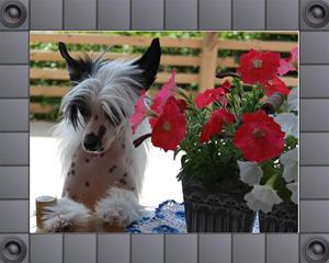 IMG_1199 IMG_1199