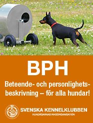 BPH-beteende-och-personlighetsbeskrivning-for-alla-hundar BPH-beteende-och-personlighetsbeskrivning-for-alla-hundar