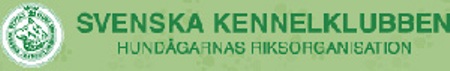 Logo SKK