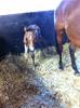 IMG_0405 IMG_0405