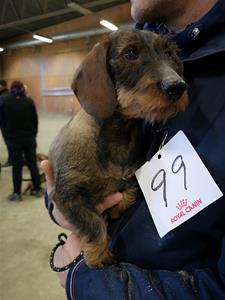 IMG_20190331_125751-001