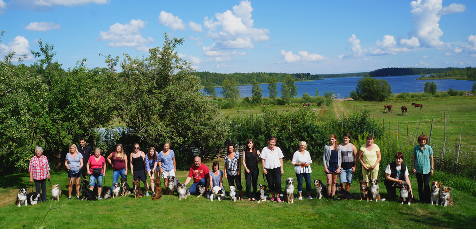 hundträff-2014 - Kopia hundträff-2014 - Kopia