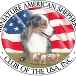 American Shepherd safe_image[1]