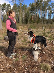 Tävlingsekipage Sofia J Tävlingsekipage Sofia J