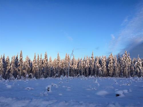 vinter2