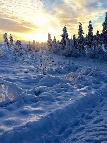 vinter5