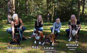 sammie rex lexie athena