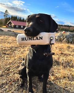 humlan1