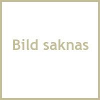 bild_saknas